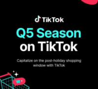 TikTok 2025 Q5 Commerce Playbook